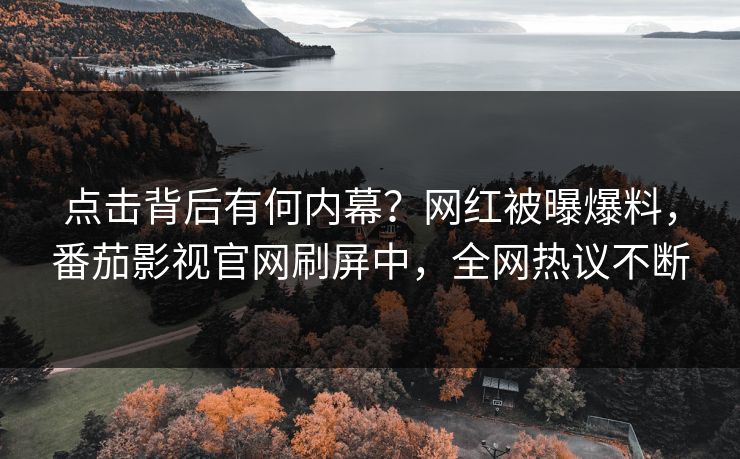 点击背后有何内幕？网红被曝爆料，番茄影视官网刷屏中，全网热议不断
