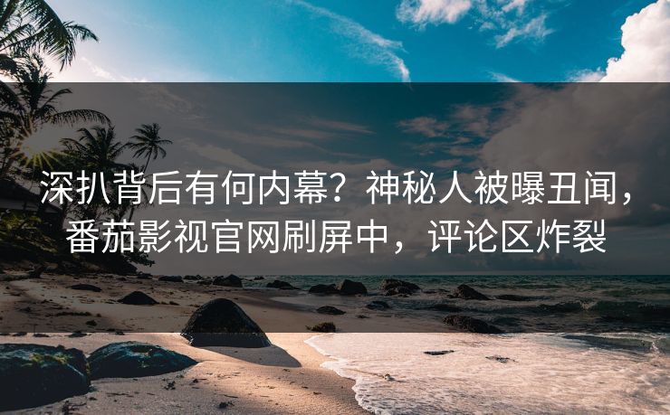 深扒背后有何内幕？神秘人被曝丑闻，番茄影视官网刷屏中，评论区炸裂