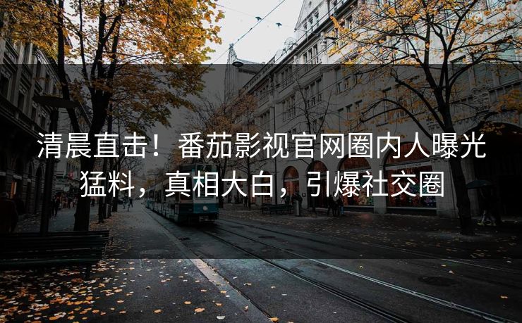清晨直击！番茄影视官网圈内人曝光猛料，真相大白，引爆社交圈