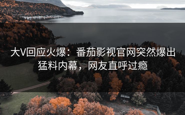 大V回应火爆：番茄影视官网突然爆出猛料内幕，网友直呼过瘾