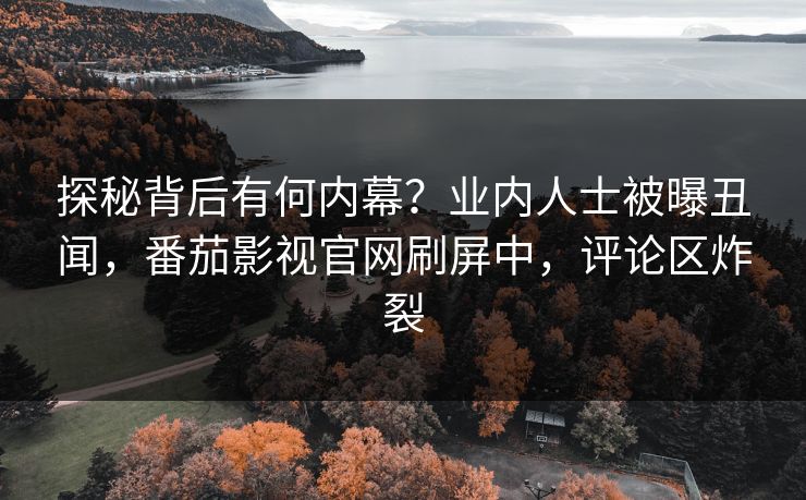 探秘背后有何内幕？业内人士被曝丑闻，番茄影视官网刷屏中，评论区炸裂