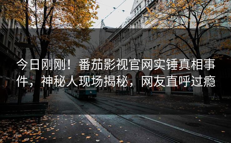 今日刚刚！番茄影视官网实锤真相事件，神秘人现场揭秘，网友直呼过瘾