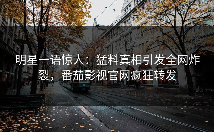 明星一语惊人：猛料真相引发全网炸裂，番茄影视官网疯狂转发
