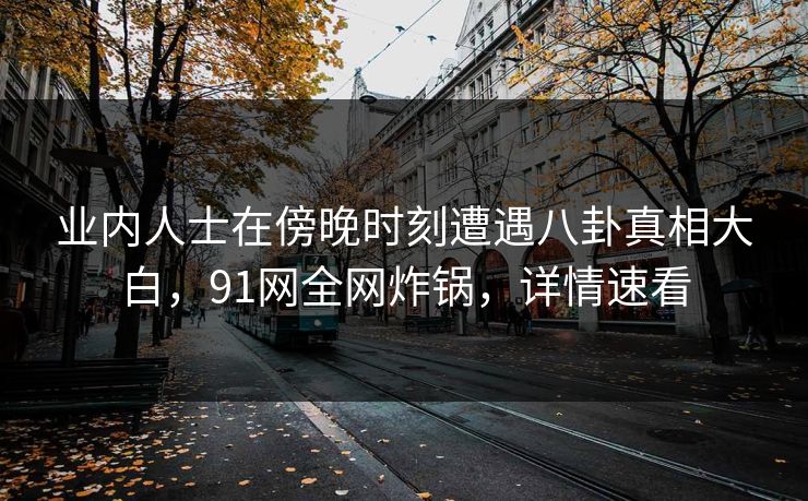 业内人士在傍晚时刻遭遇八卦真相大白，91网全网炸锅，详情速看